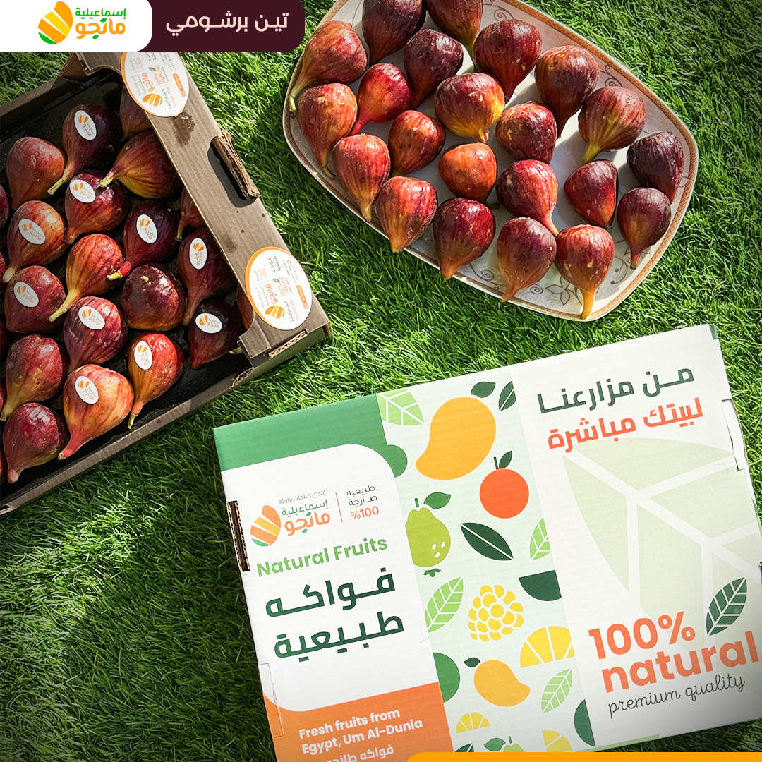Fig Barshomi
