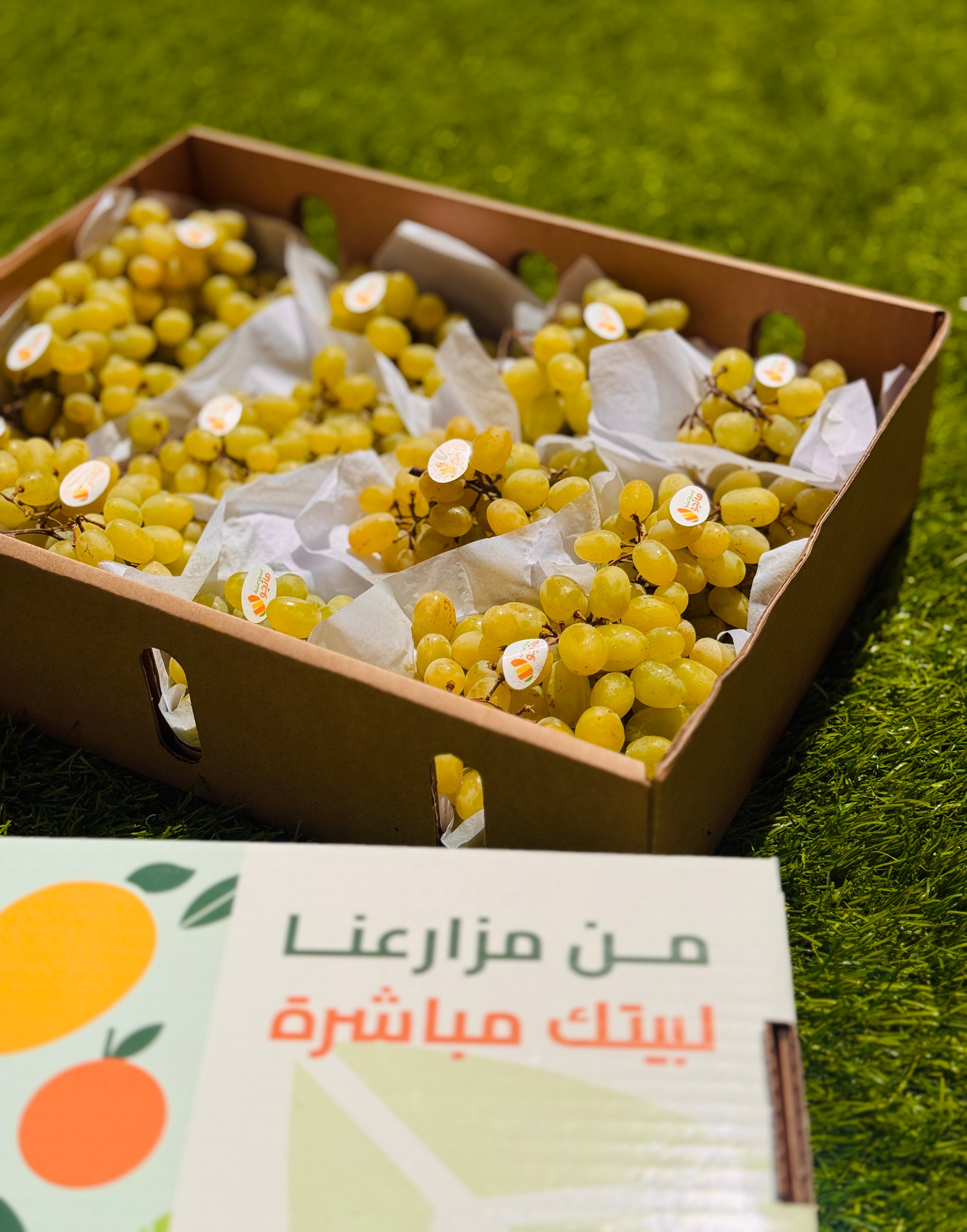 Grapes Banati
