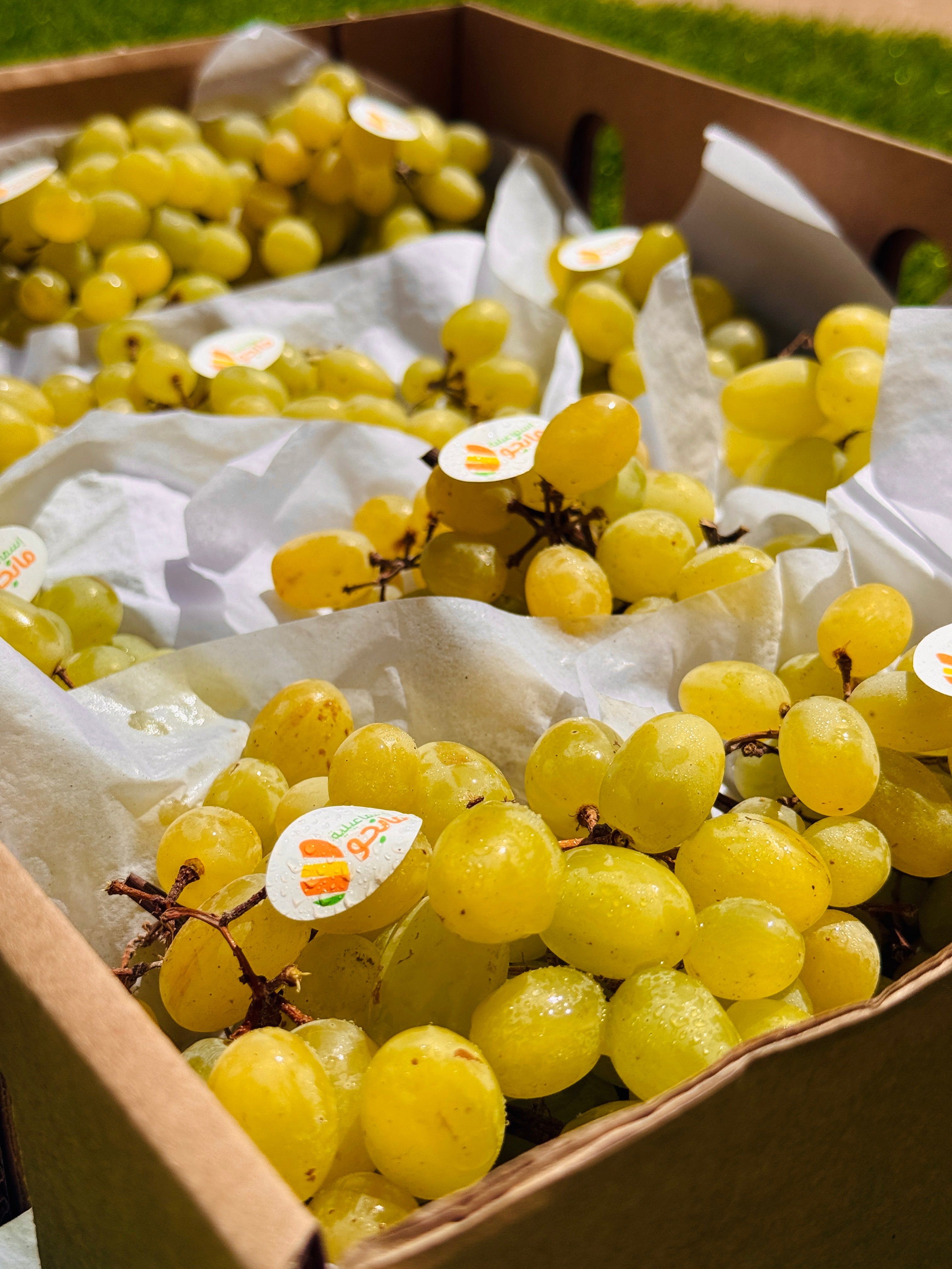 Grapes Banati