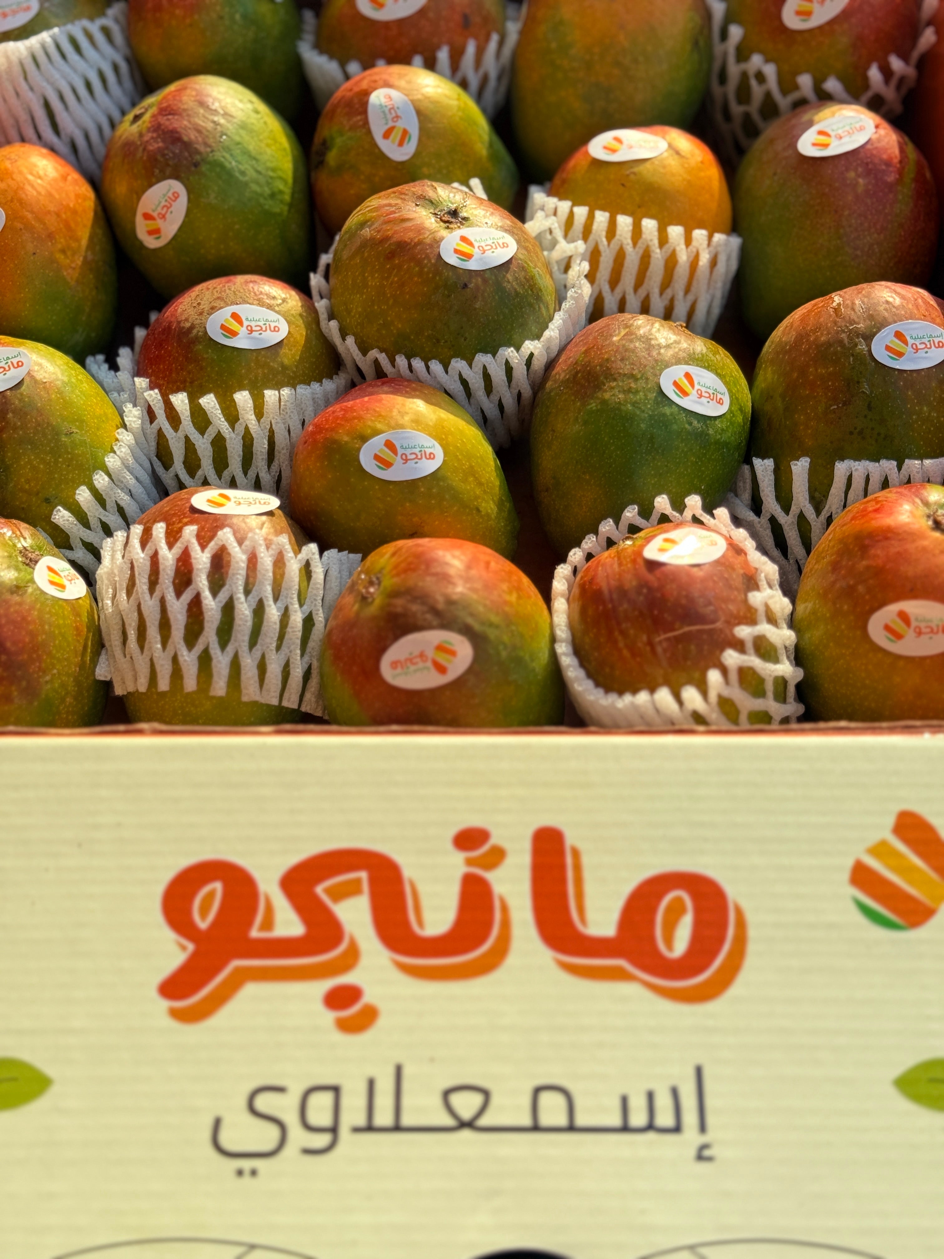 فونس مانجو