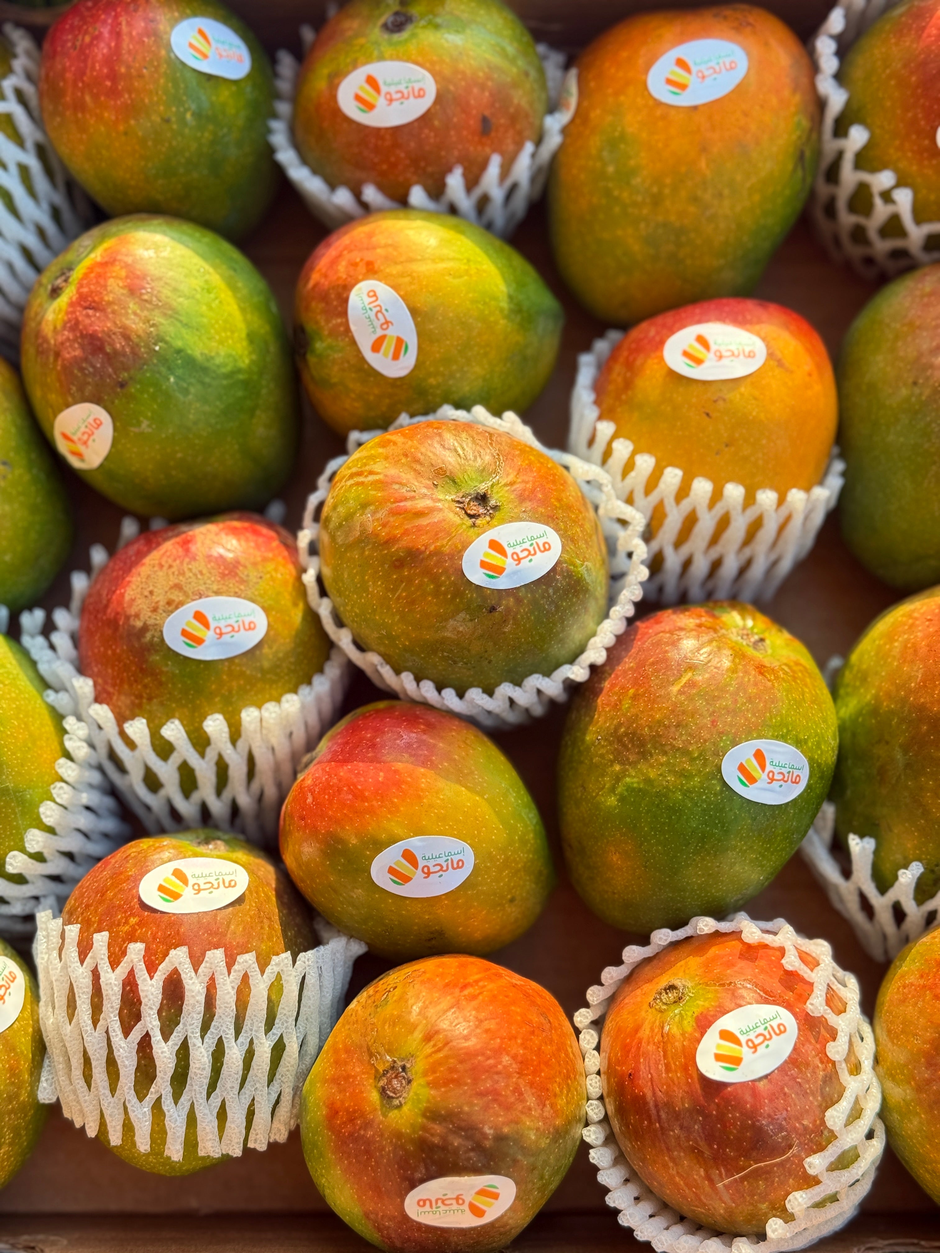 فونس مانجو