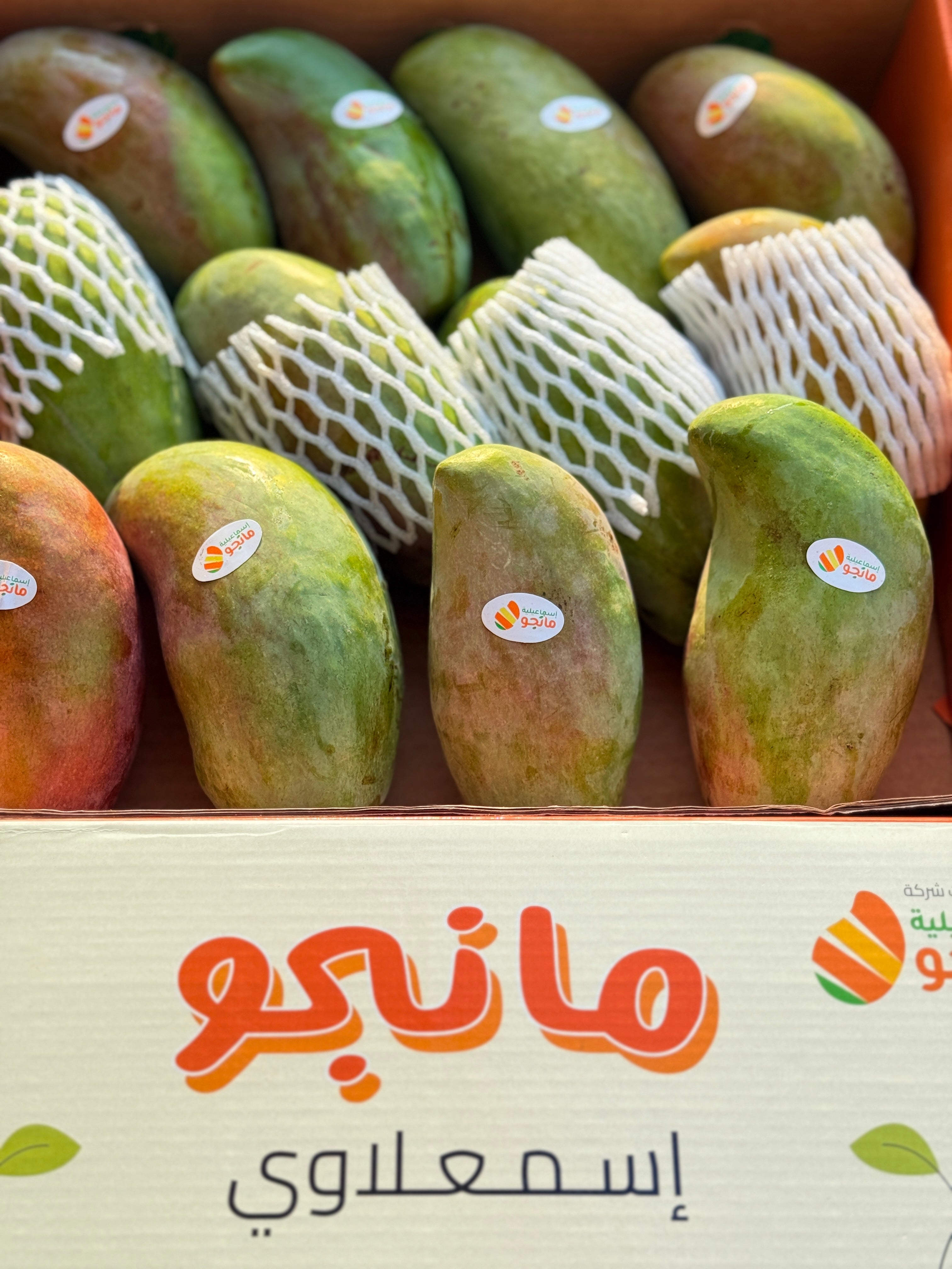 فونس مانجو