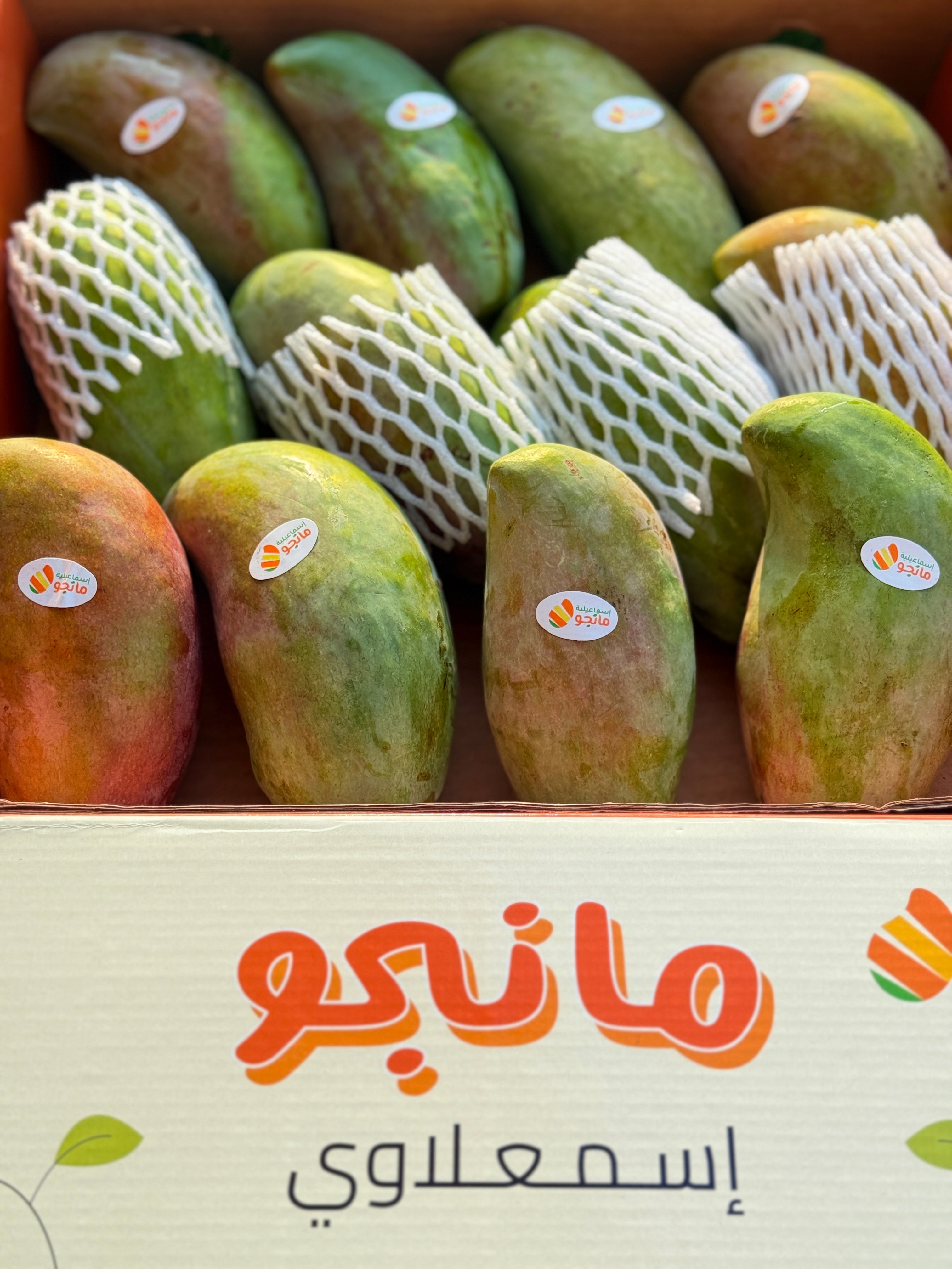 Mango Sediqa
