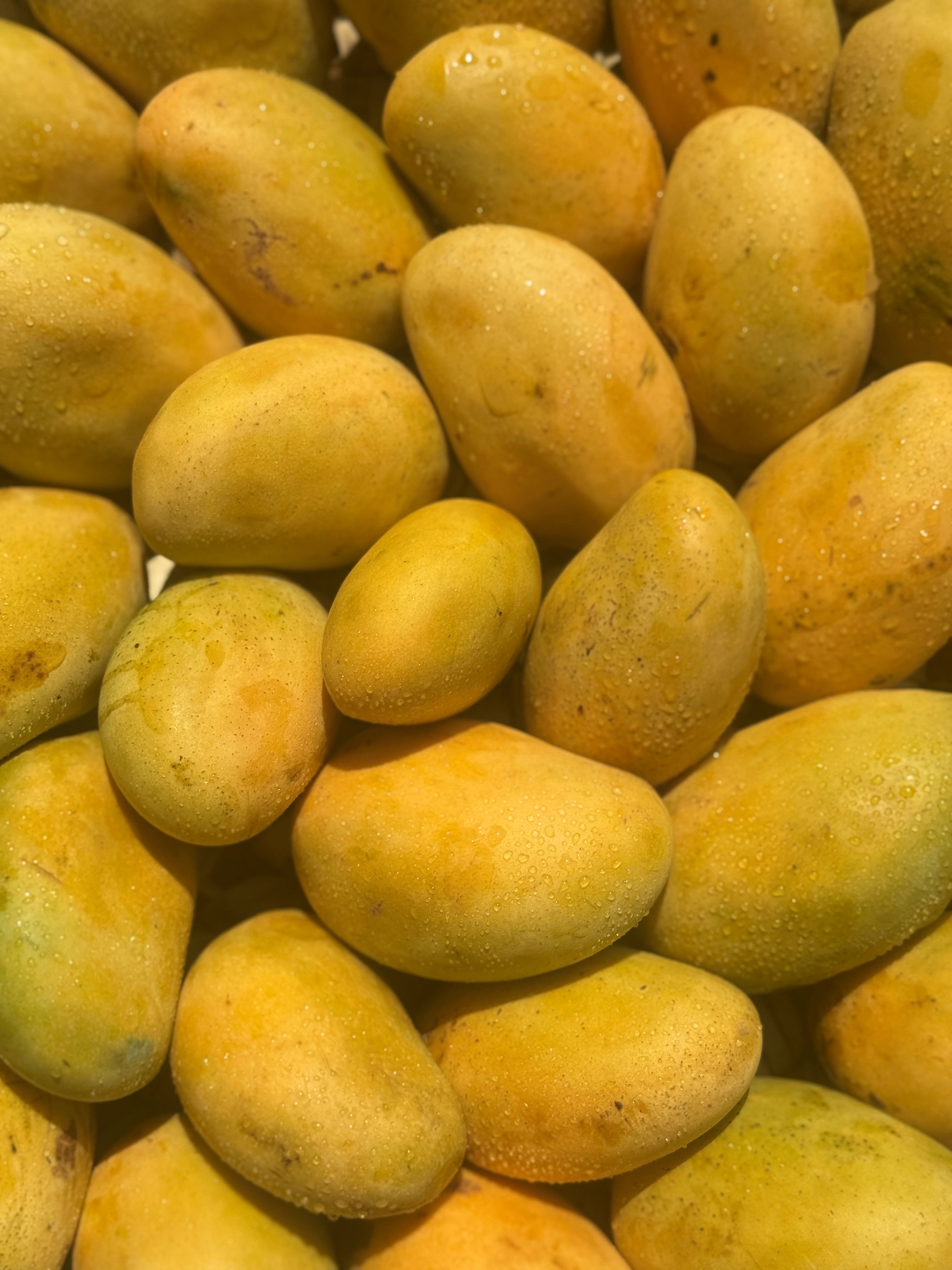فاس مانجو