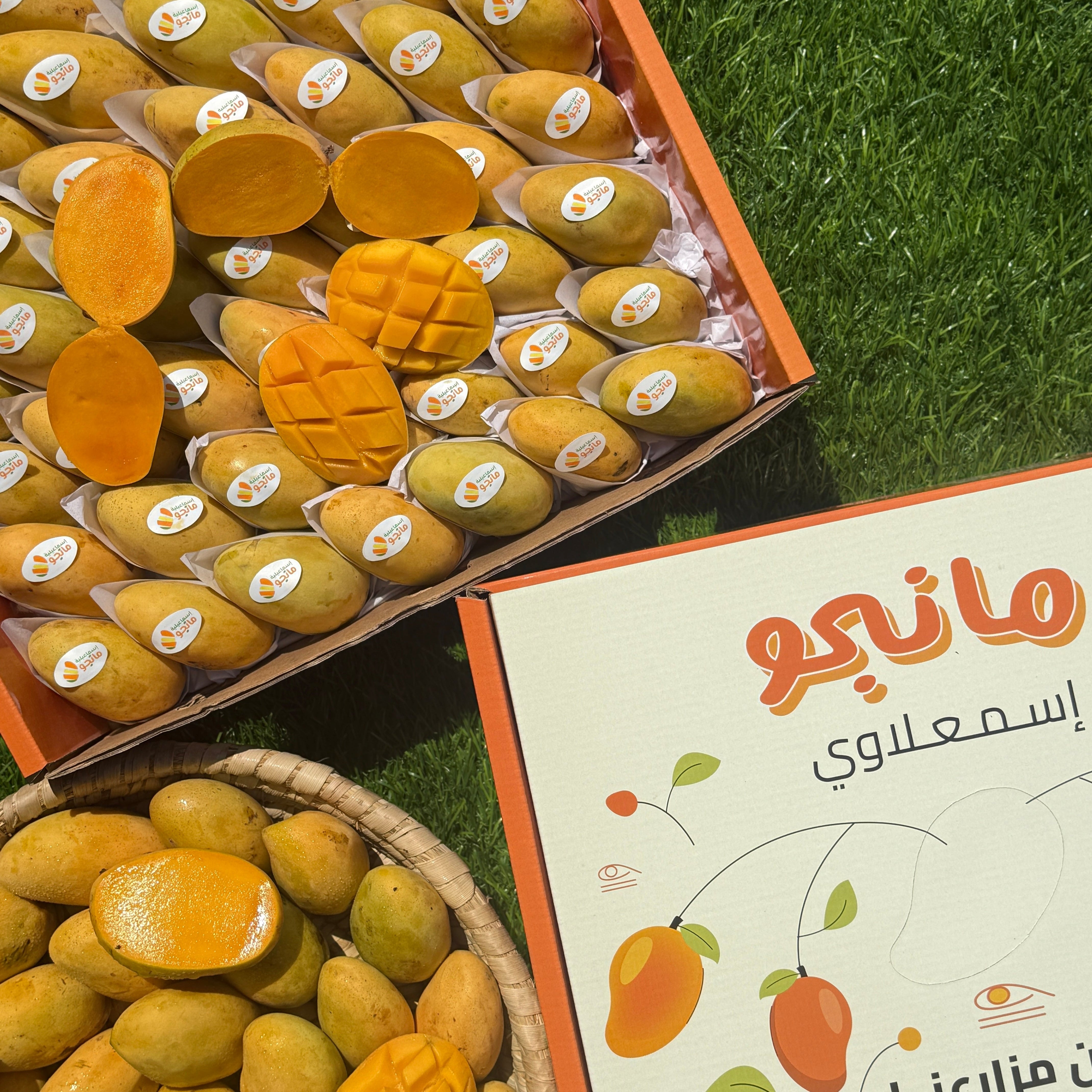 Mango Fas